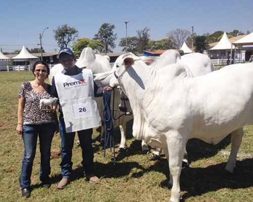 Termina o Ranking Paulista 2013/2014 <BR /><BR /><BR />