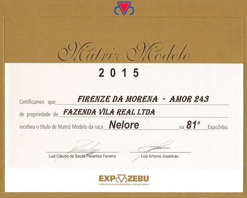 Matriz Modelo 2015 é da Vila Real <BR /><BR /><BR />