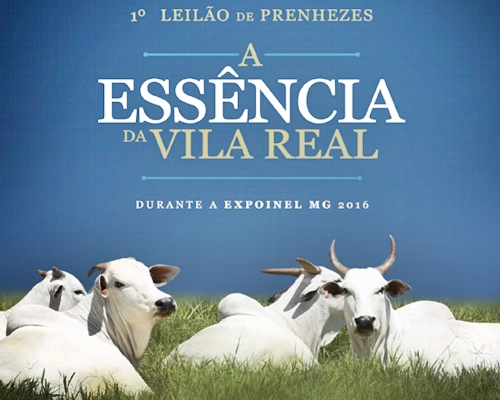 1º Leilão de Prenhezes A Essência da Vila Real - 24/02/2016 <BR /><BR />