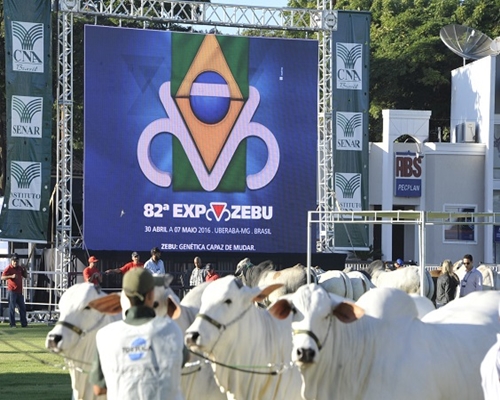 ExpoZebu mantém desempenho do ano passado <BR /><BR />
