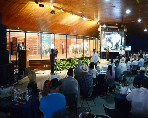 Resultados da ExpoGenética 2016 comprovam a força do setor pecuário<BR /><BR />