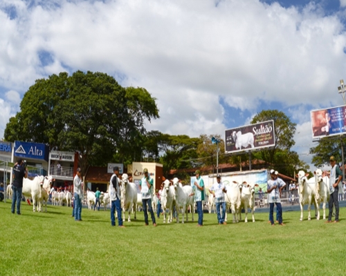 ExpoZebu 2017: uma feira para entrar na história<BR /><BR />