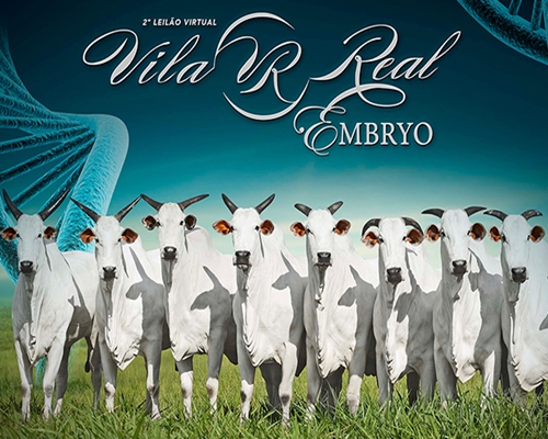 Vem aí o 2º Vila Real Embryo - 03/03/2018  <BR /><BR /><BR />