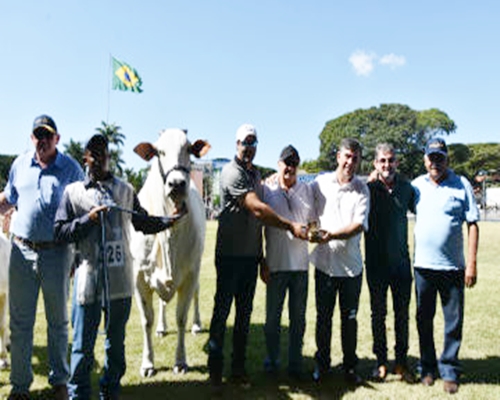 Vila Real conquista título de Reservada Grande Campeã na ExpoZebu 2018<BR /><BR />