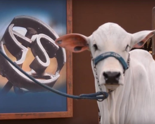 Saiba como foi o 4º Encontro Vila Real<BR /><BR /><BR />