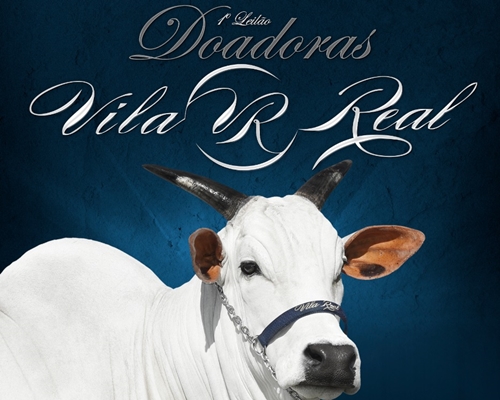 1º Leilão Virtual Doadoras Vila Real<BR /><BR /><BR />