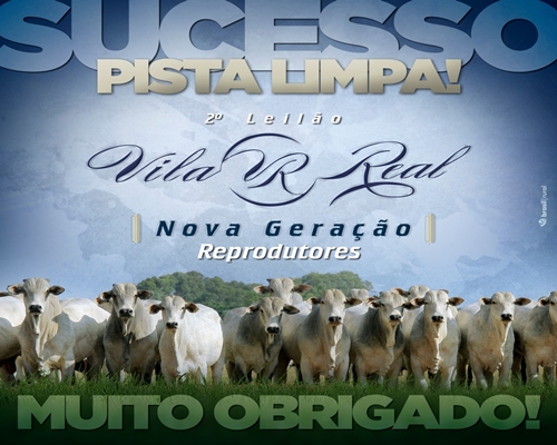 PISTA LIMPA  !!! Leilão Reprodutores foi um Sucesso <BR /><BR />