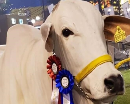 Haiyra Vila Real é CAMPEÃ no Paraguay !!! <BR /><BR /><BR />