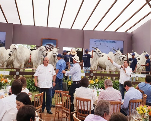 5º Encontro superou todas as expectativas !!!<BR /><BR /><BR />