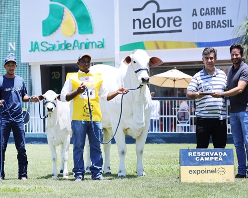 Michaela FIV VRI Vila Real é a Reservada Campeã Fêmea Jovem na Expoinel 2022 <BR /><BR />